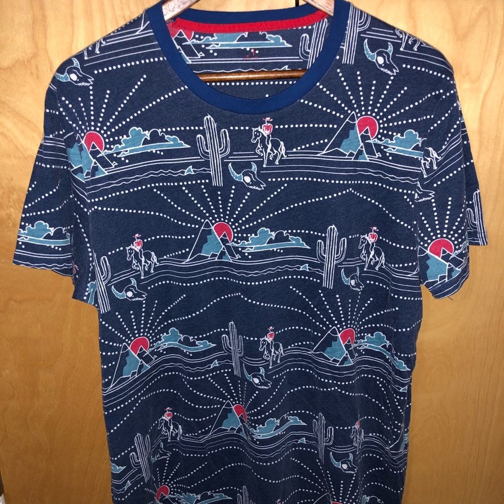 Hollister T-shirts